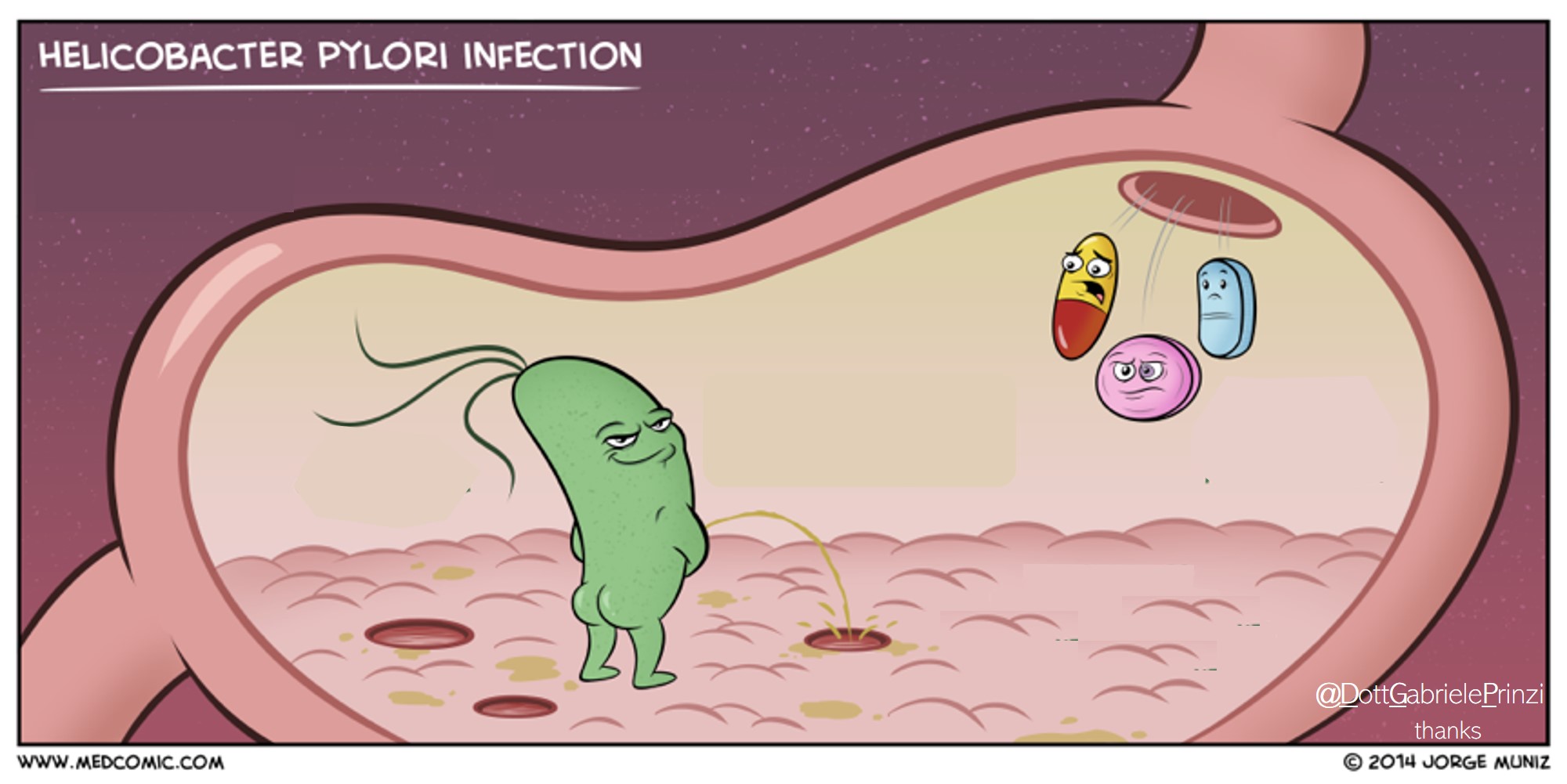 Amoxicillina, Claritromicina e Pilera eradicano l'Helicobacter da mane a sera.