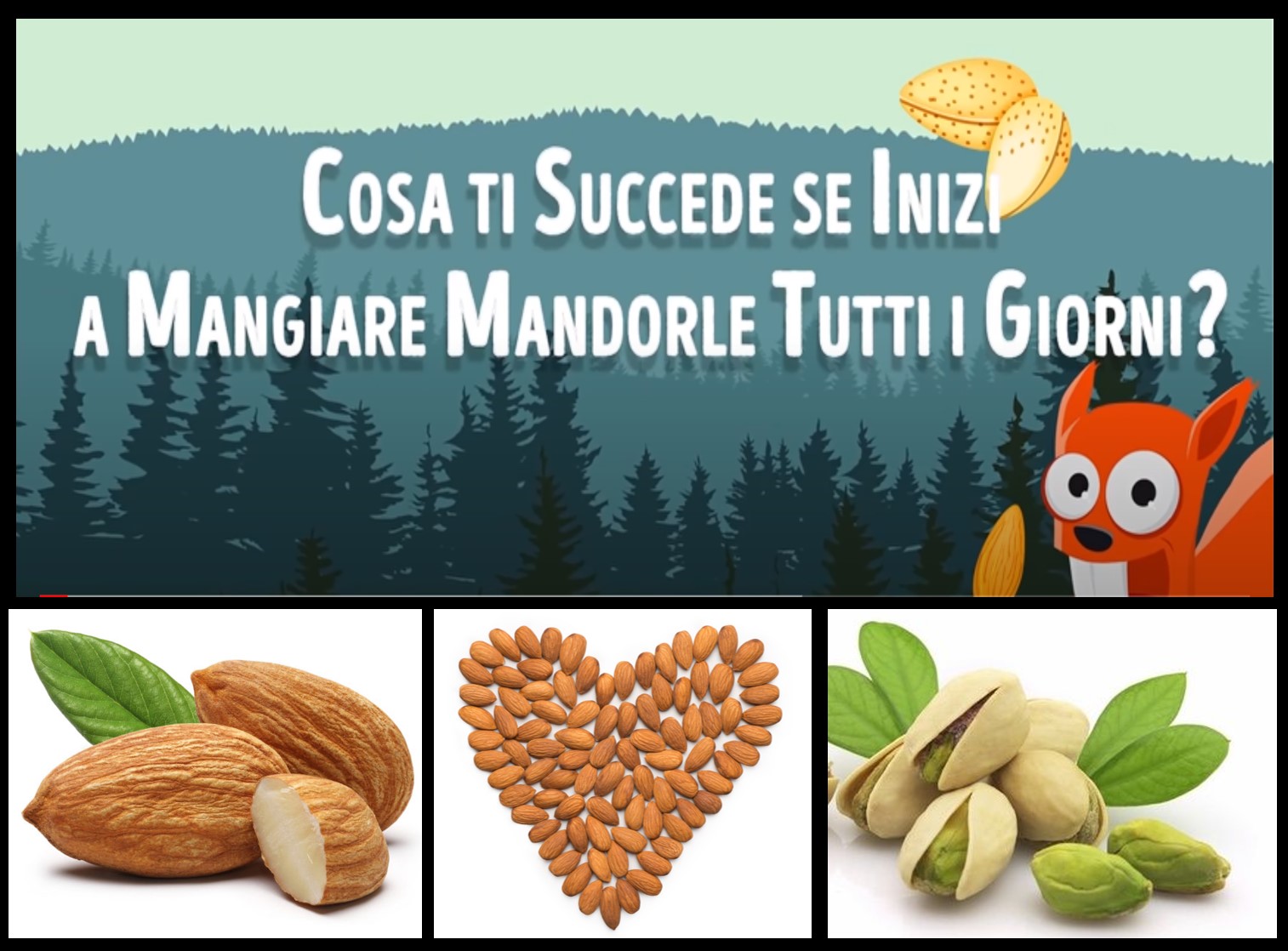 Cosa ti succede se inizi a mangiare mandorle tutti i giorni? Il Lato Positivo