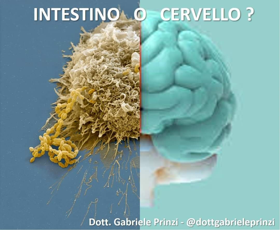 LA CAUSA DI ANSIA E DEPRESSIONE? VIAGGIO DALL' INTESTINO AL CERVELLO (E RITORNO).