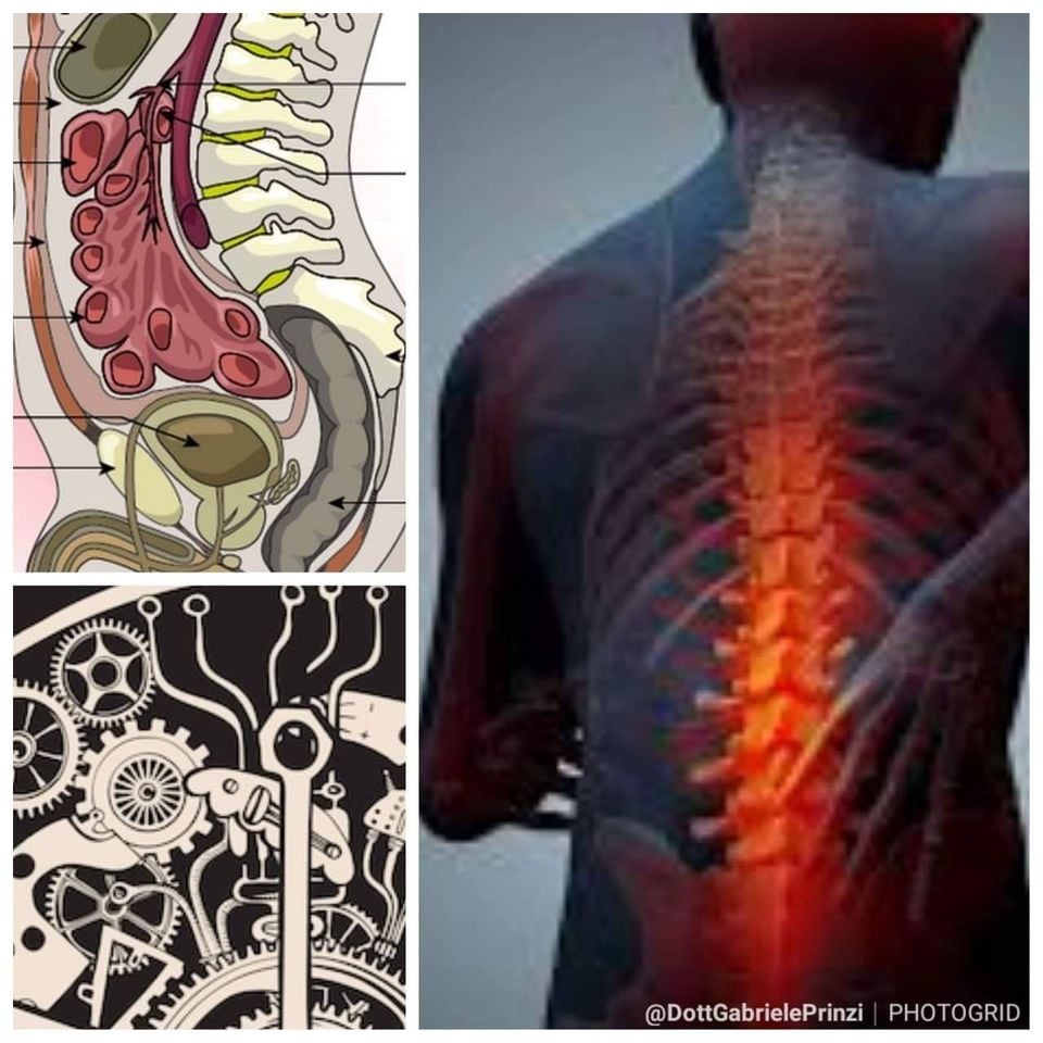 LA SPIEGAZIONE AI TUOI DOLORI DI SCHIENA? E' MOLTO MOLTO MOLTO PROBABILMENTE NELLA PANCIA. PER QUESTO LA MEDICINA INTEGRATA SI AVVALE DI FISIOTERAPISTI ED OSTEOPATI