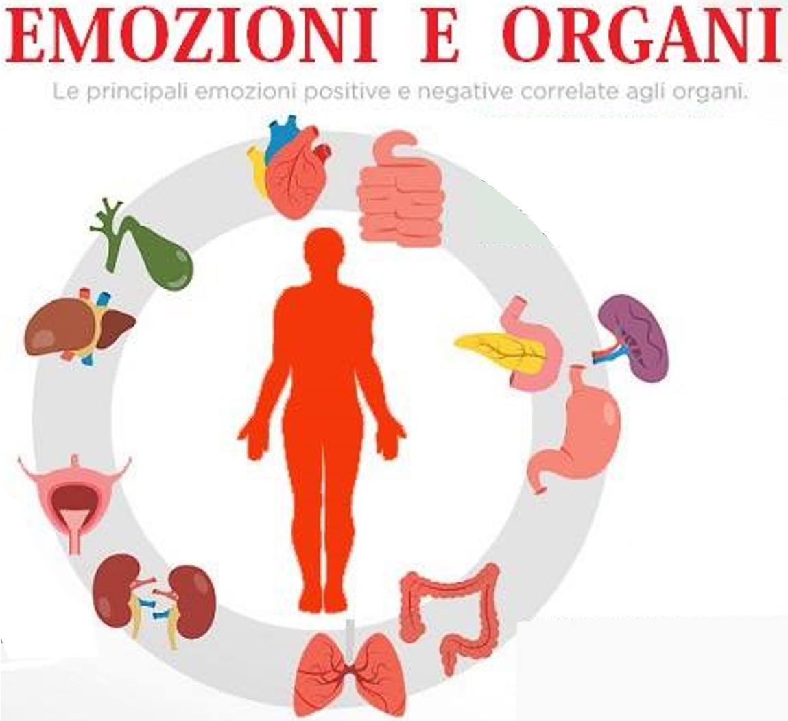 LE EMOZIONI CHE IMPAURISCONO O QUELLE CHE INGHIOTTI E TRATTIENI IN PANCIA ... ... INDEBOLISCONO IL SISTEMA IMMUNITARIO