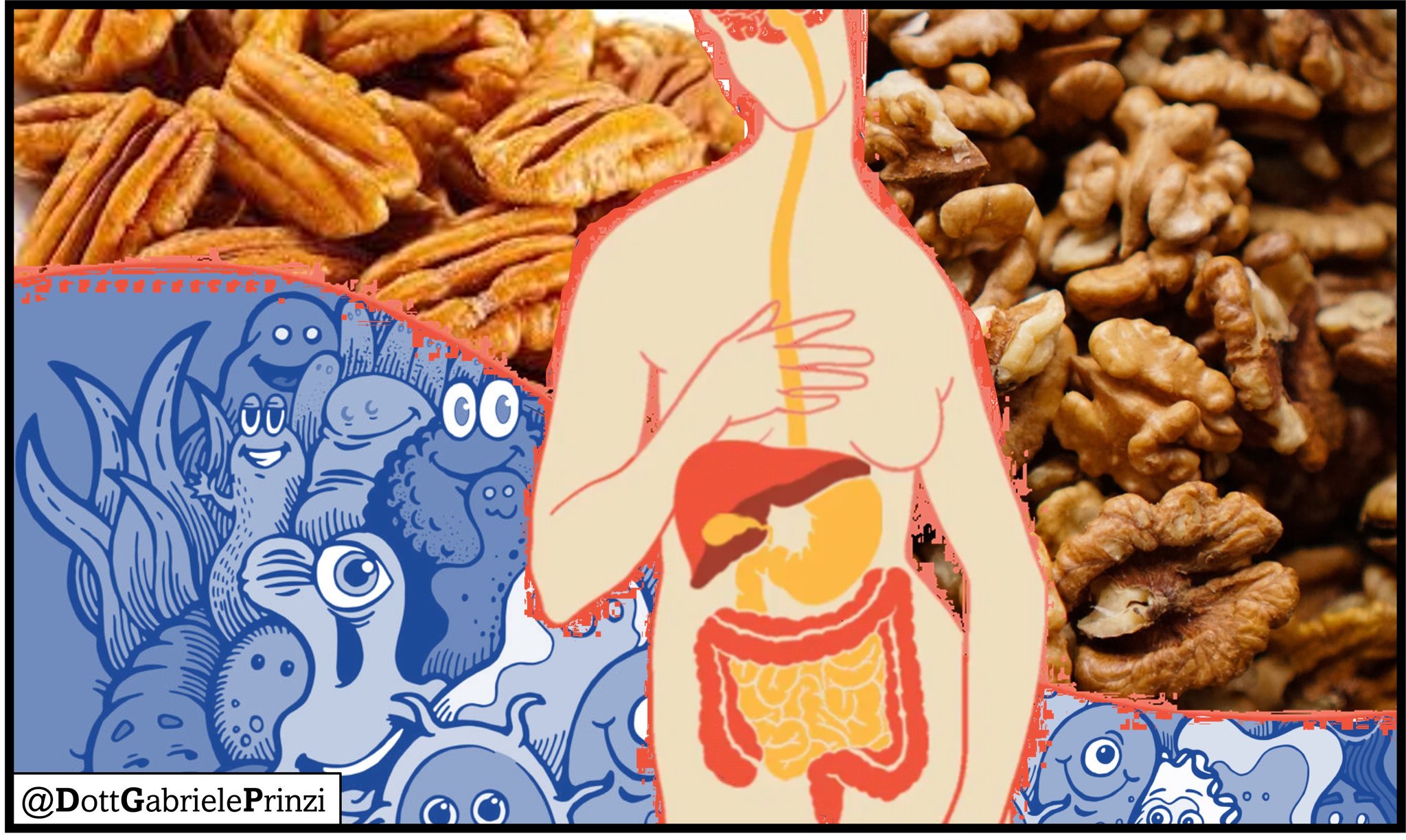 NOCI, MANDORLE E #MICROBIOTA. NUTRIRE L'ASSE INTESTINO-CERVELLO