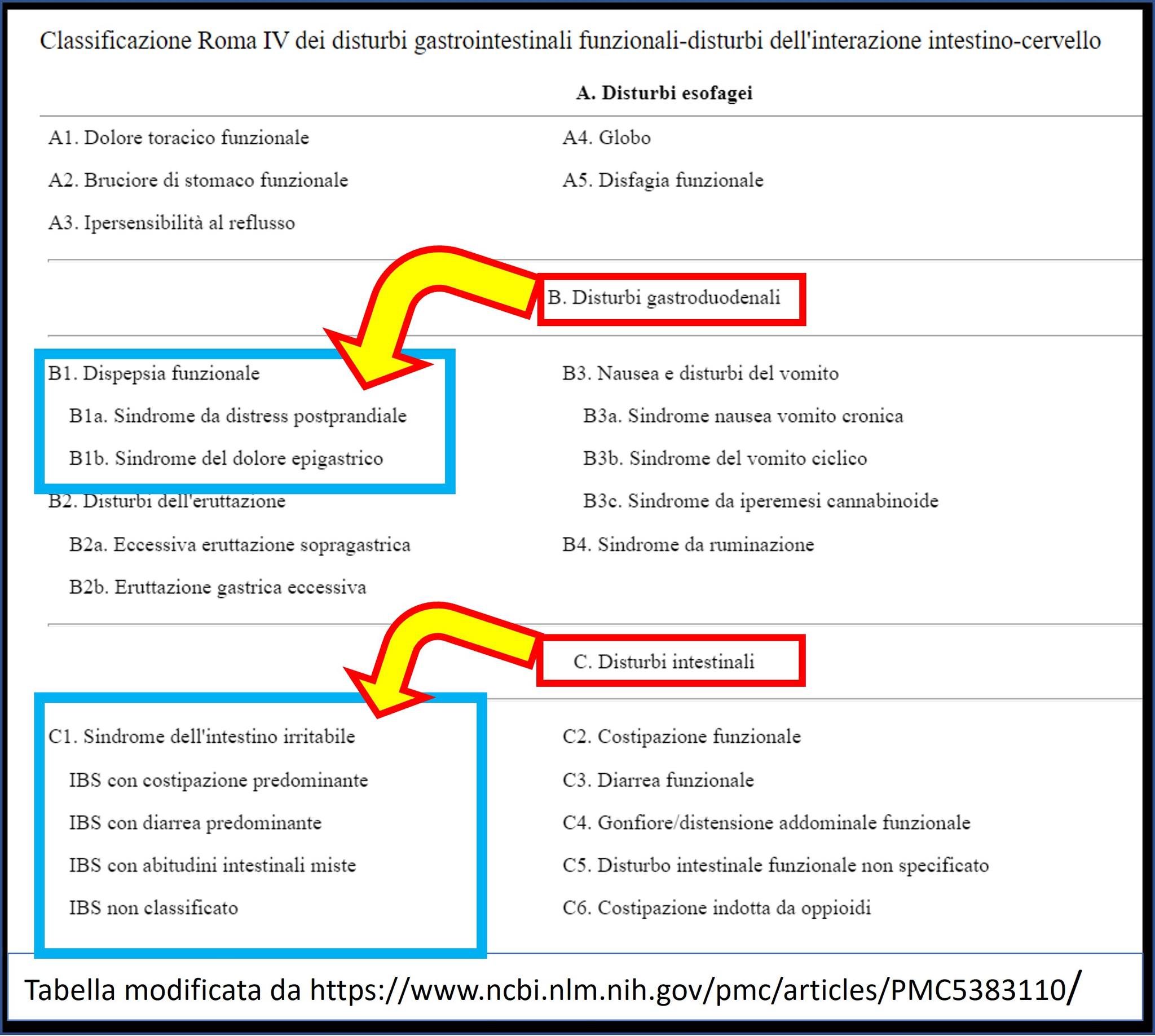 DISPEPSIA FUNZIONALE E NERVO VAGO. LA RIMUGINAZIONE DISTURBA LA DIGESTIONE? (Post 1 di 2)